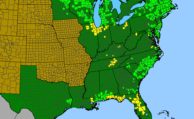 The range of Drosera intermedia